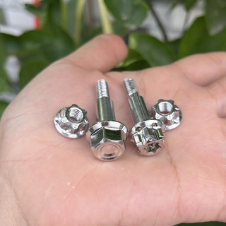 Ốc tay thắng Salaya TẶNG long đền và tán