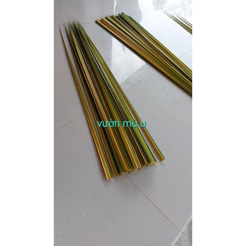 Combo 50 lá dừa nước non