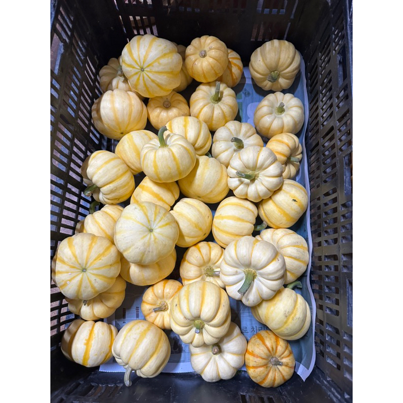 Bí trang trí Halloween