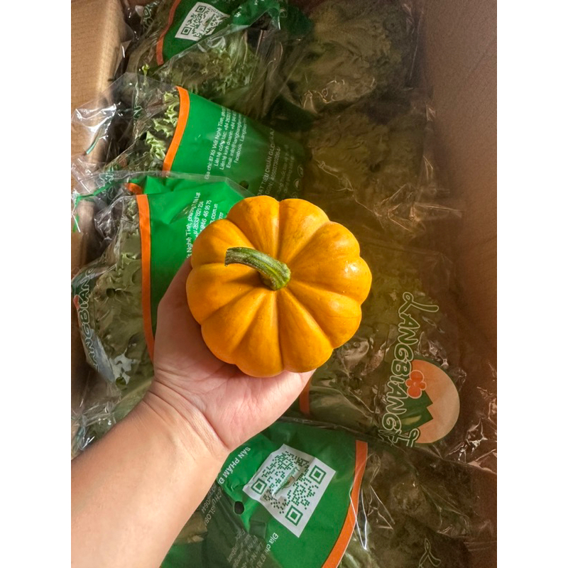 Bí trang trí Halloween