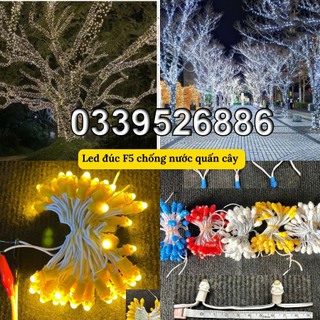Led đúc F5 đế 9mm điện áp các màu chống nước ngoài trời