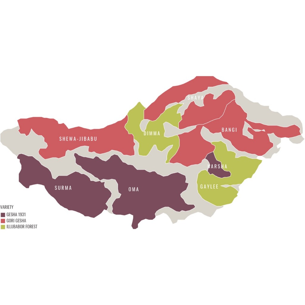 Gesha Village Shaya Gori Gesha Natural Lot 23/058
