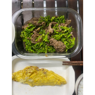 Gù bò Úc Kilcoy