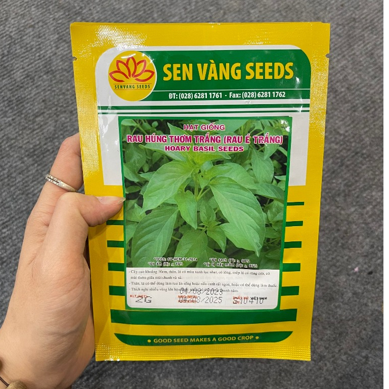 Hạt giống Húng thơm trắng  5gram hàng chính hãng công ty đóng gói