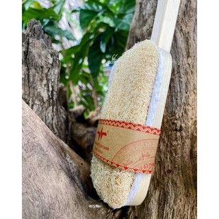 Cây chà lưng xơ mướp Vi Lâm (MP8976)