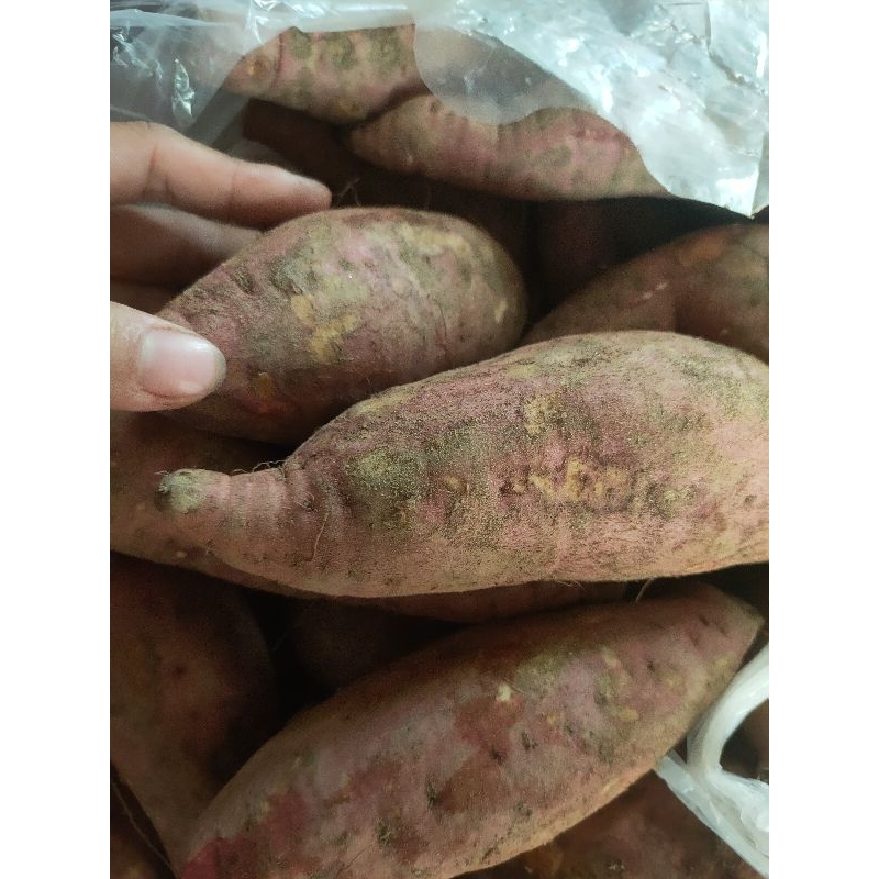 Khoai lang nghệ 1kg