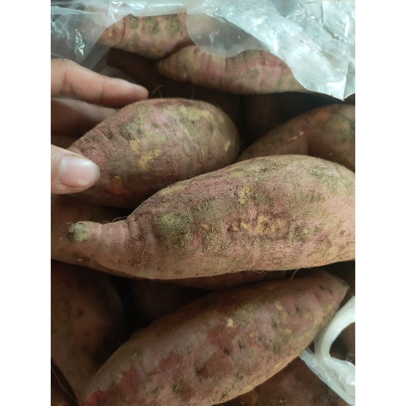 Khoai lang nghệ 1kg