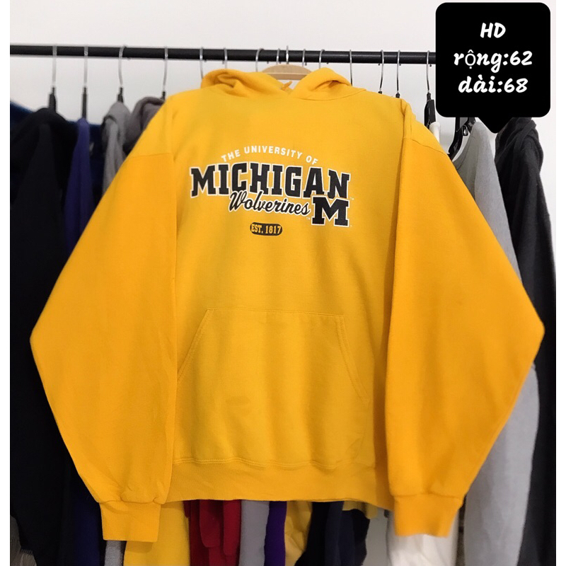 Hoodie sweater 2hand xịn