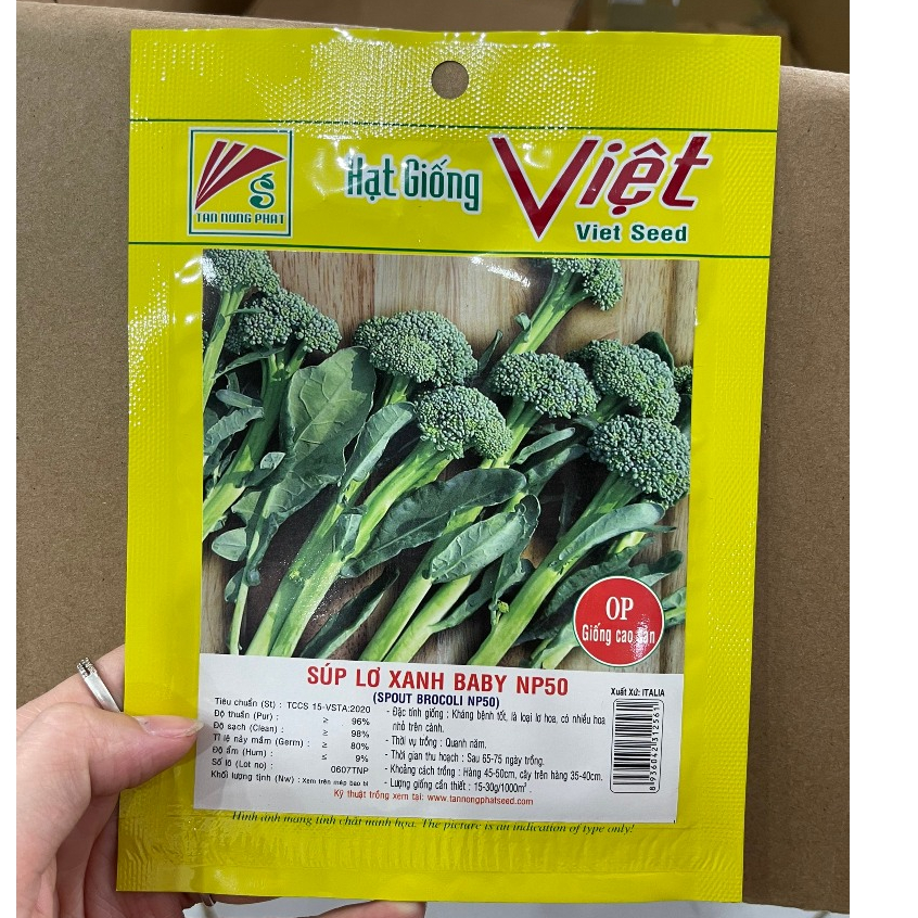 Hạt giống Súp lơ baby F1 hàng chính hãng công ty đóng gói
