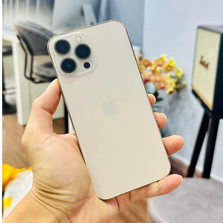 Điện Thoại 13 PR0MAX 512GB LL/A - Máy mới nguyên hộp, bảo hành 12 tháng