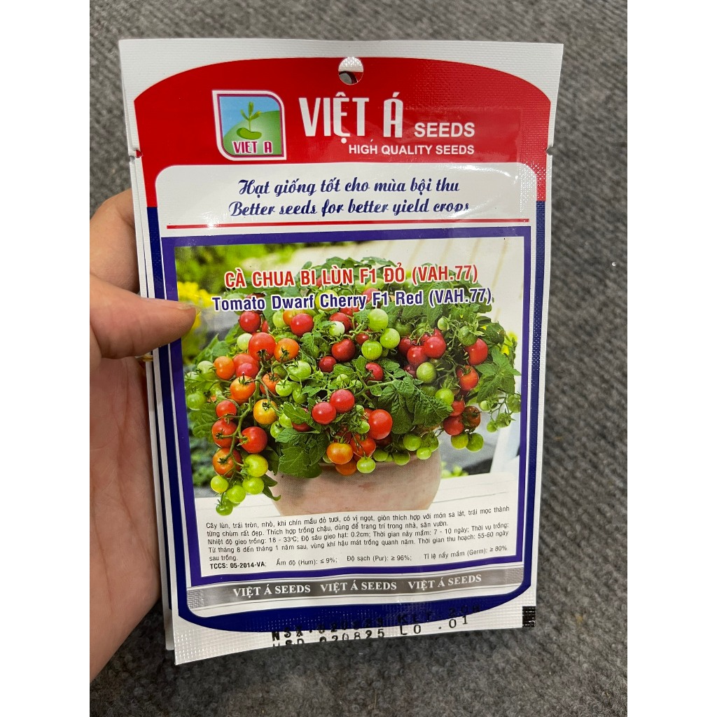 Hạt giống Cà Chua Bi Lùn hàng chính hãng công ty đóng gói
