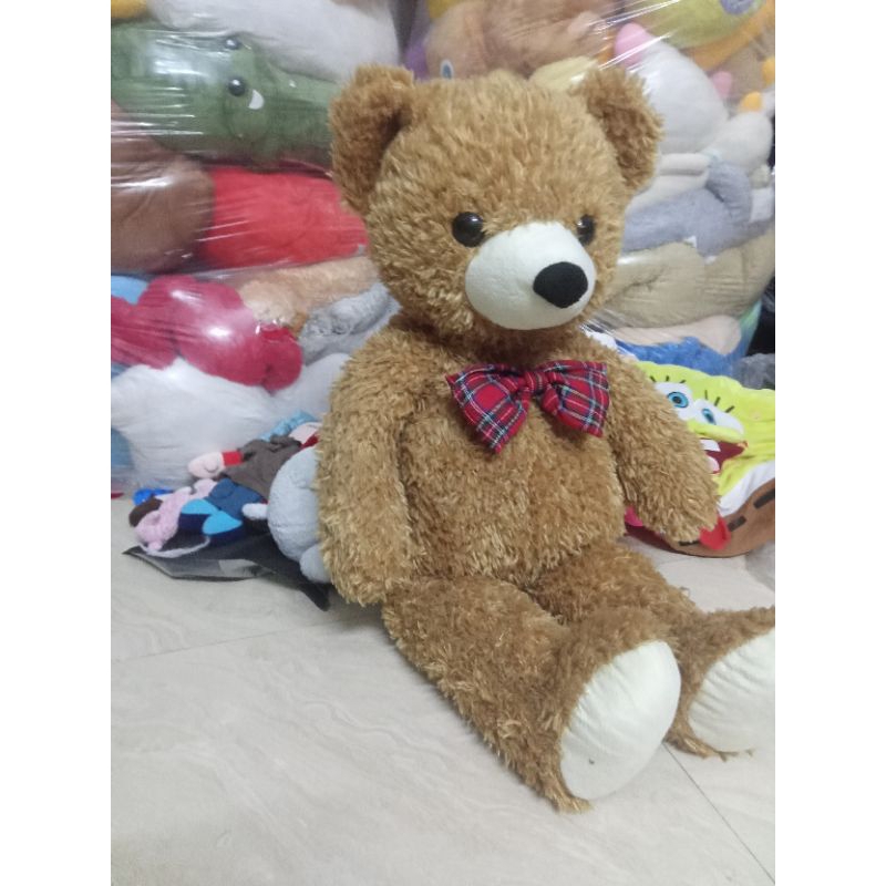 Gấu bông teddy hàng nhật size khoảng 70-80cn