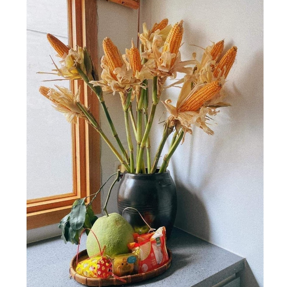 Bắp khô trang trí nguyên cây cắm bình decor xinh xắn