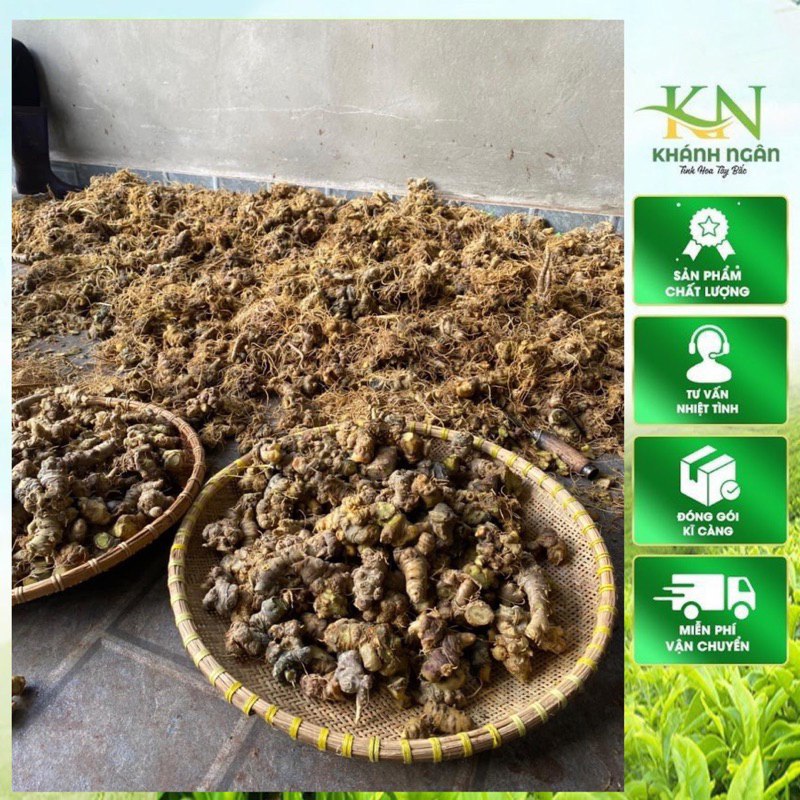 Tam Thất Bắc Tươi size 10 củ 1 kg