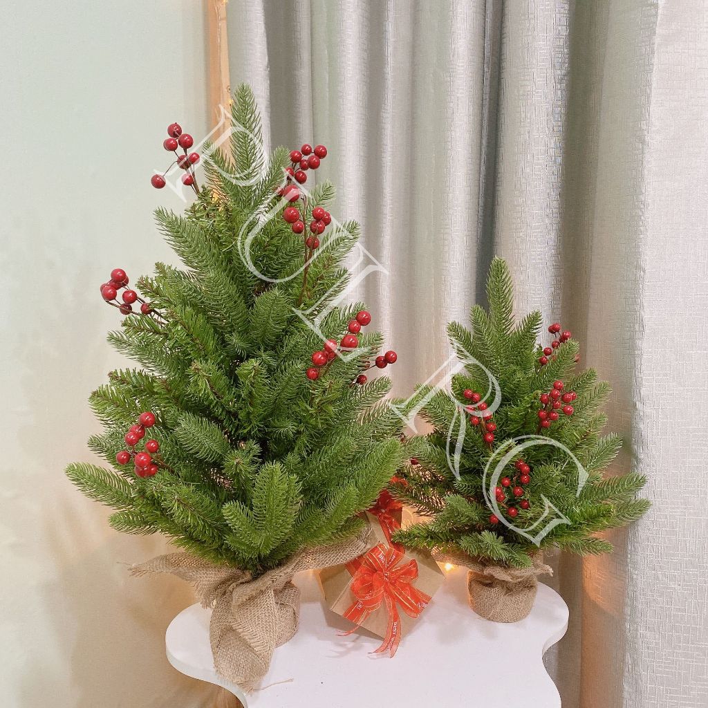 Cây thông noel mini để bàn LÁ PE ĐỆM PVC GẮN TRÁI ĐỎ trang trí decor giáng sinh trong nhà ngoài trời