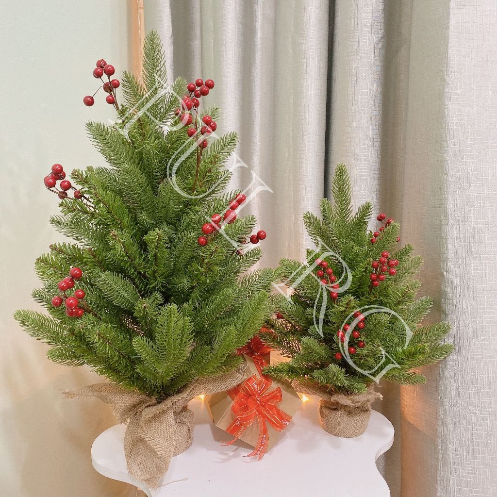 Cây thông noel mini để bàn LÁ PE ĐỆM PVC GẮN TRÁI ĐỎ trang trí decor giáng sinh trong nhà ngoài trời