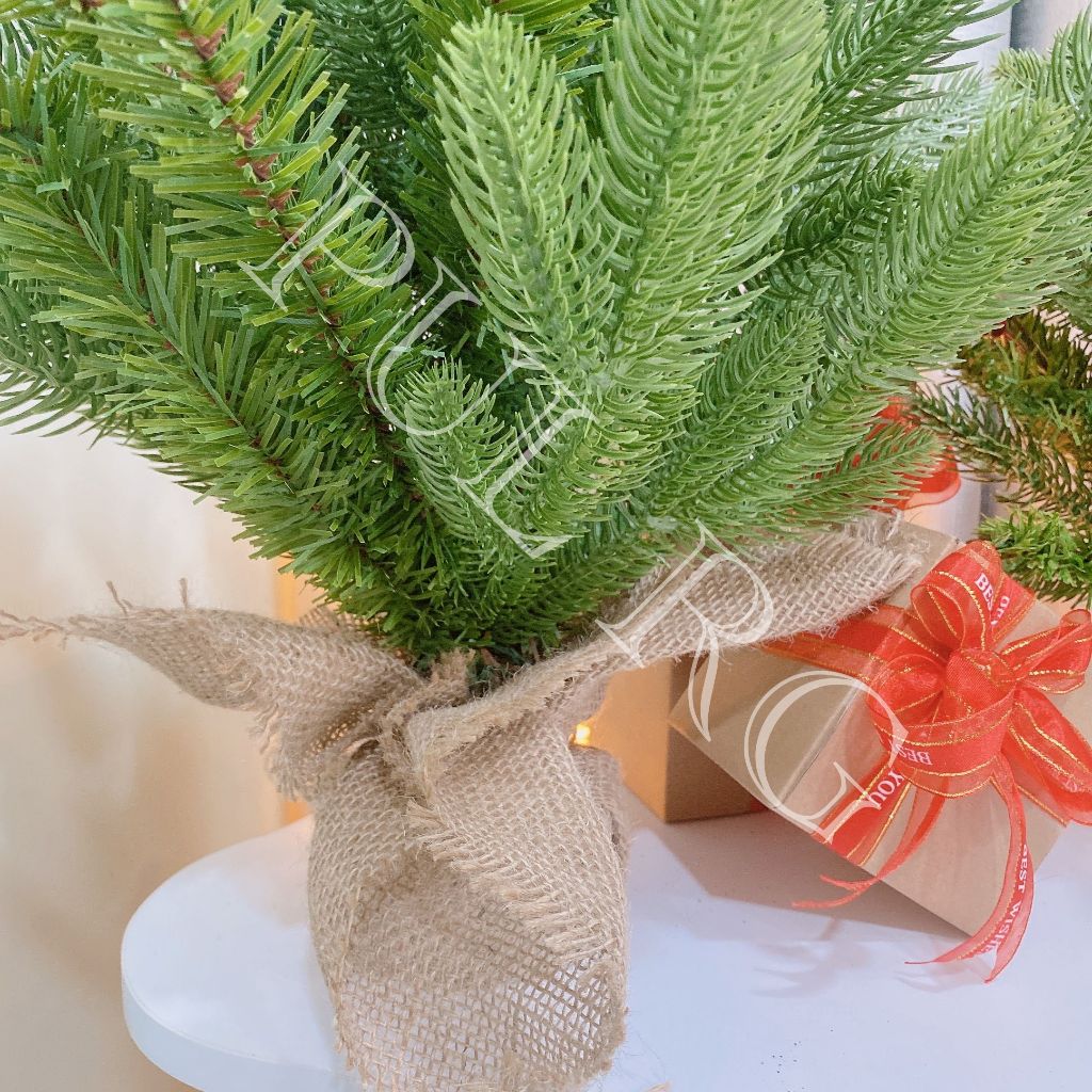 Cây thông noel mini để bàn LÁ PE ĐỆM PVC GẮN TRÁI ĐỎ trang trí decor giáng sinh trong nhà ngoài trời