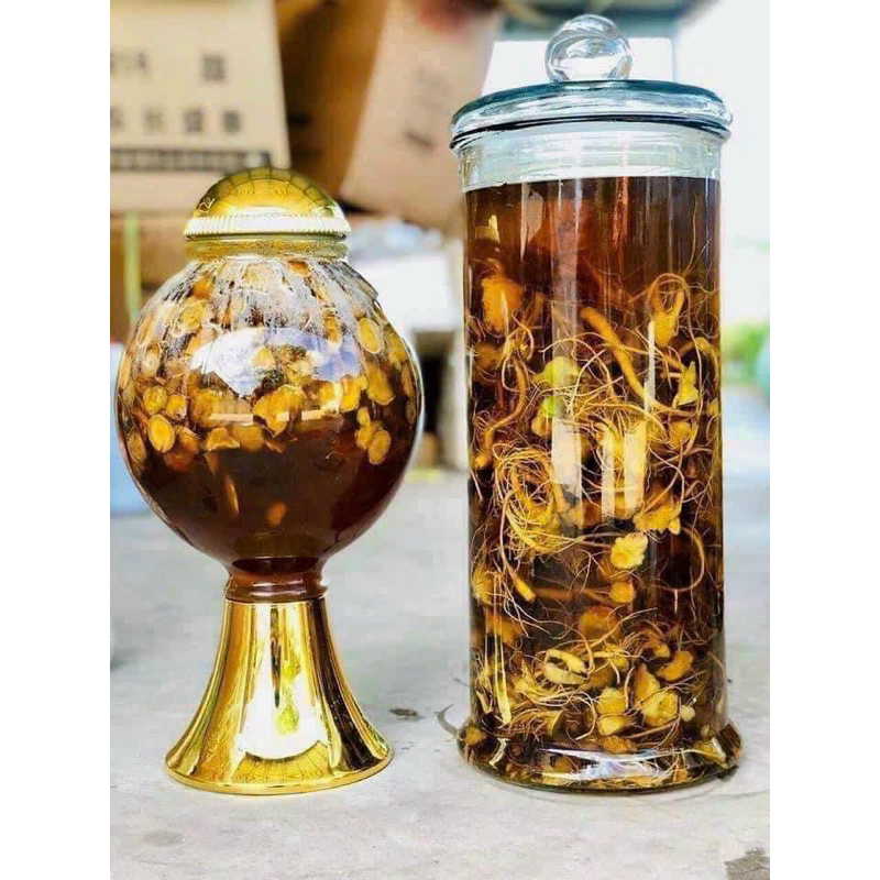 Tam Thất Bắc Tươi size 10 củ 1 kg