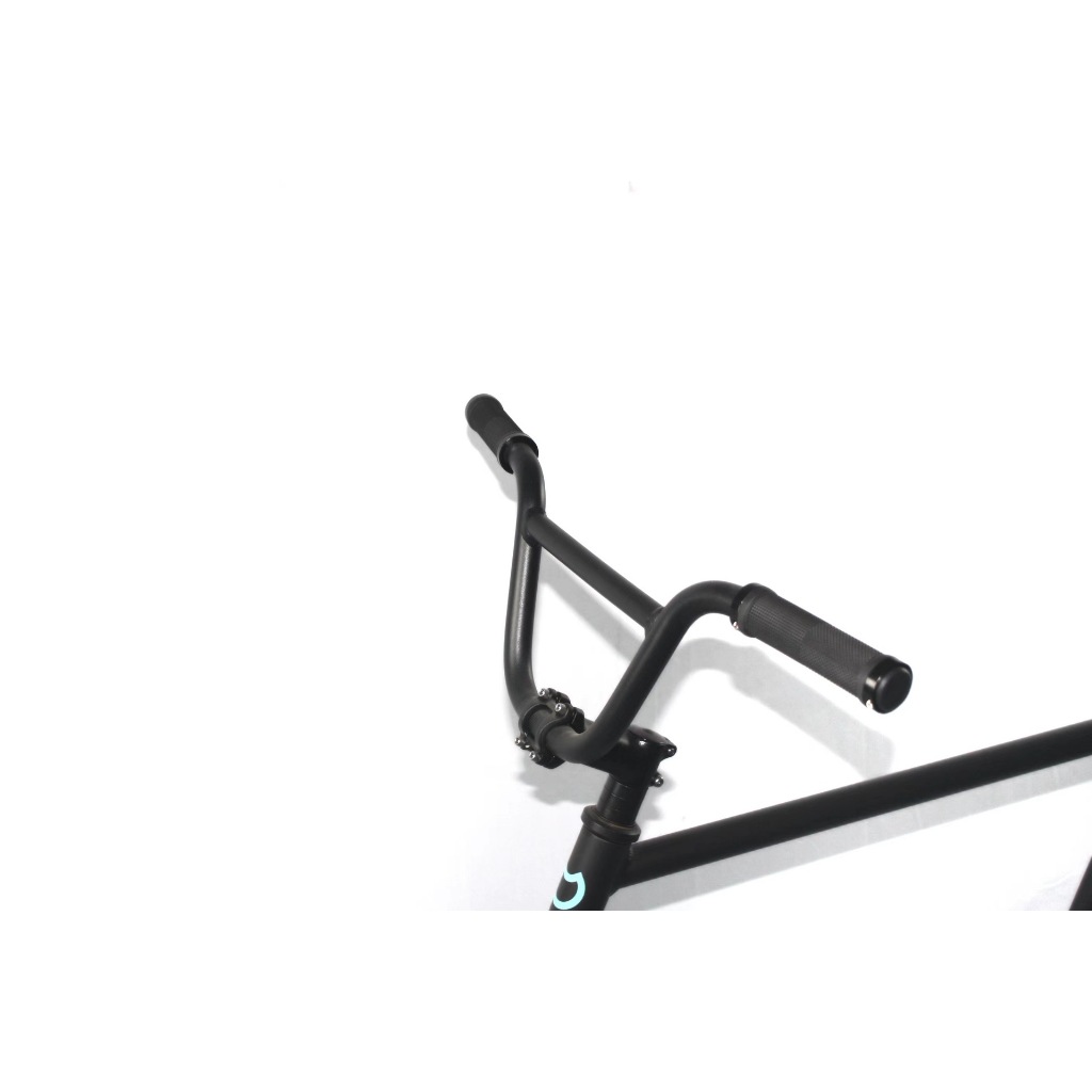 Xe đạp đường phố Fixed Gear