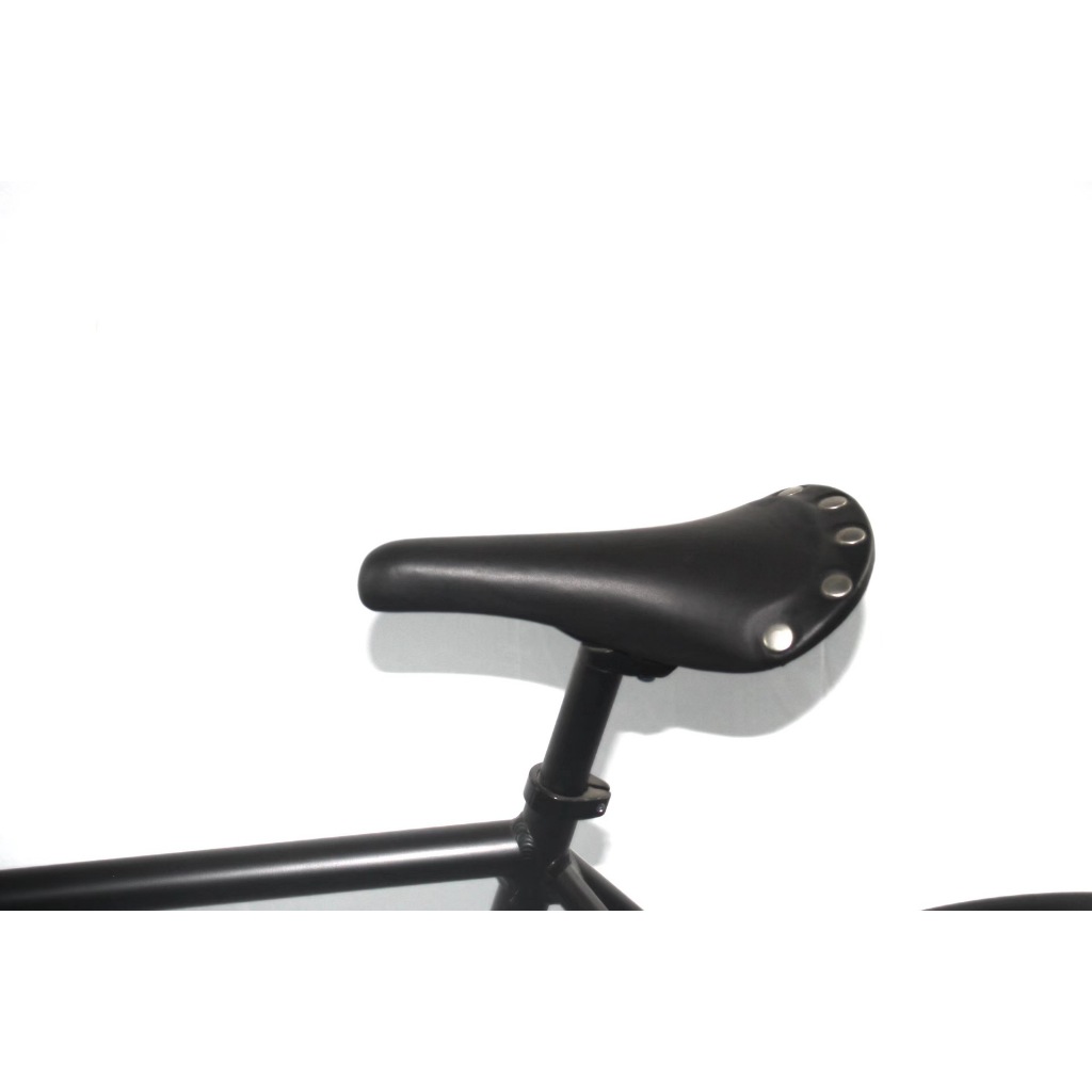 Xe đạp đường phố Fixed Gear