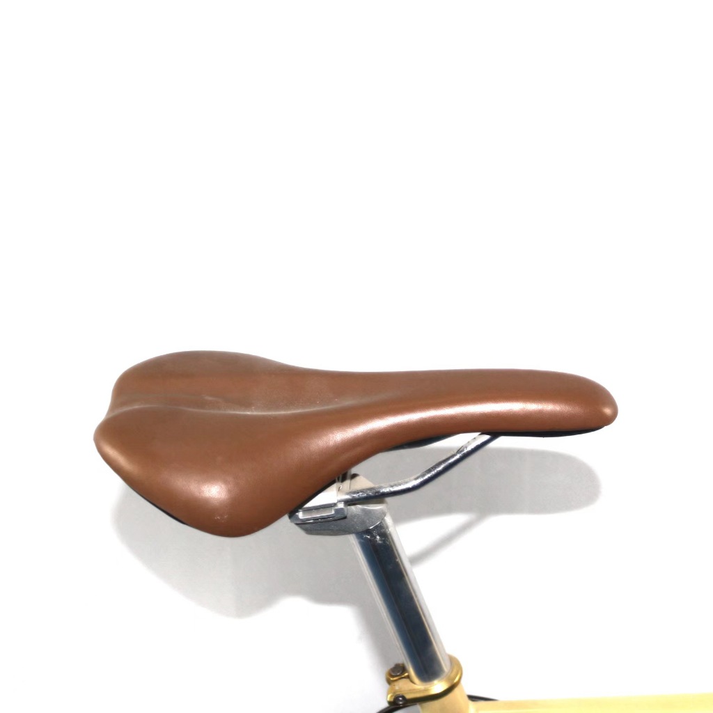 Xe đạp đường phố FixeGear