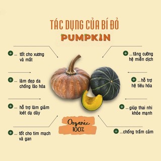 Bột bí đỏ nguyên chất 100g