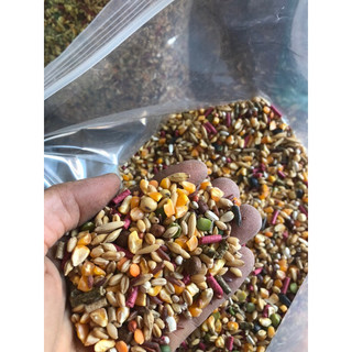  5kg ngũ cốc ga đá  15hat-3 cám  .thức an cho gà đẻ. bồ câu vet. 