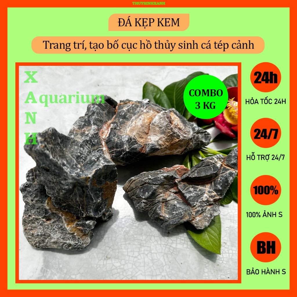 Đá kẹp kem thủy sinh