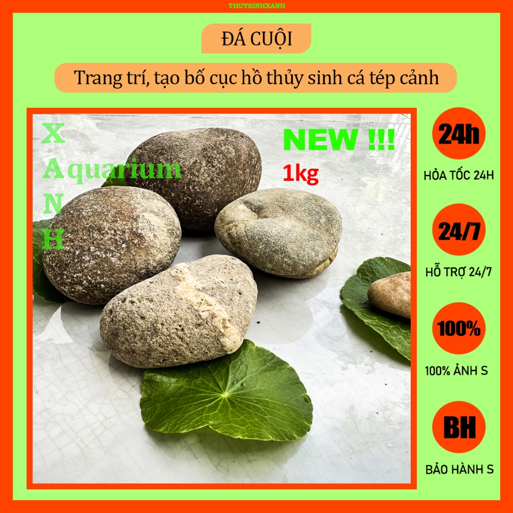 Đá cuội trang trí thủy sinh 1kg