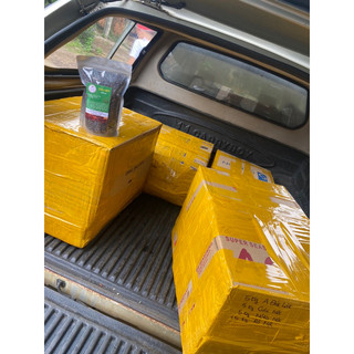 Cà phê Moka 5kg