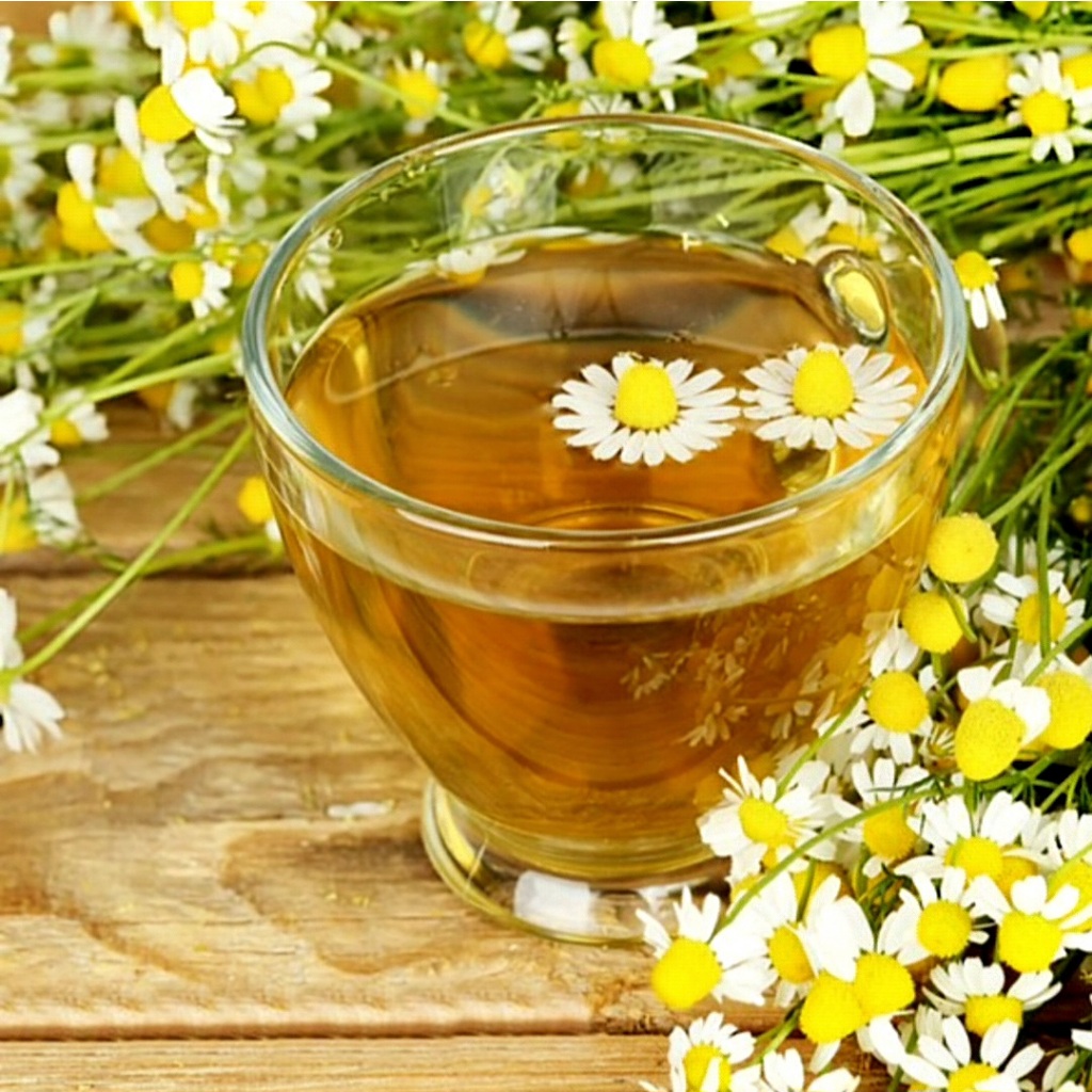 10g/100g Chiết Xuất Cúc La Mã  - Nguyên Liệu Mỹ Phẩm