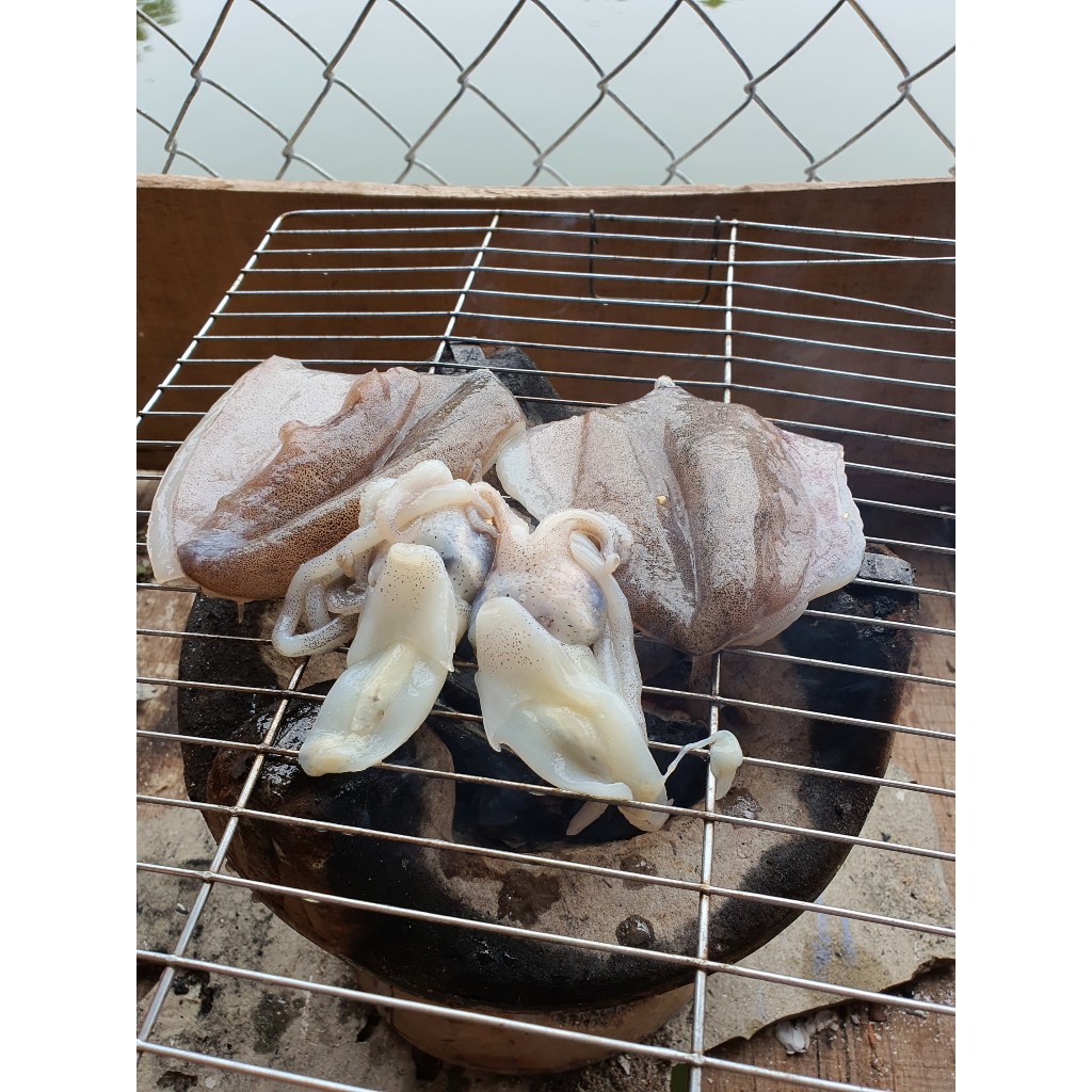 Mực lá câu tươi nháy biển Phú Yên 500gr 4 đến 5 con