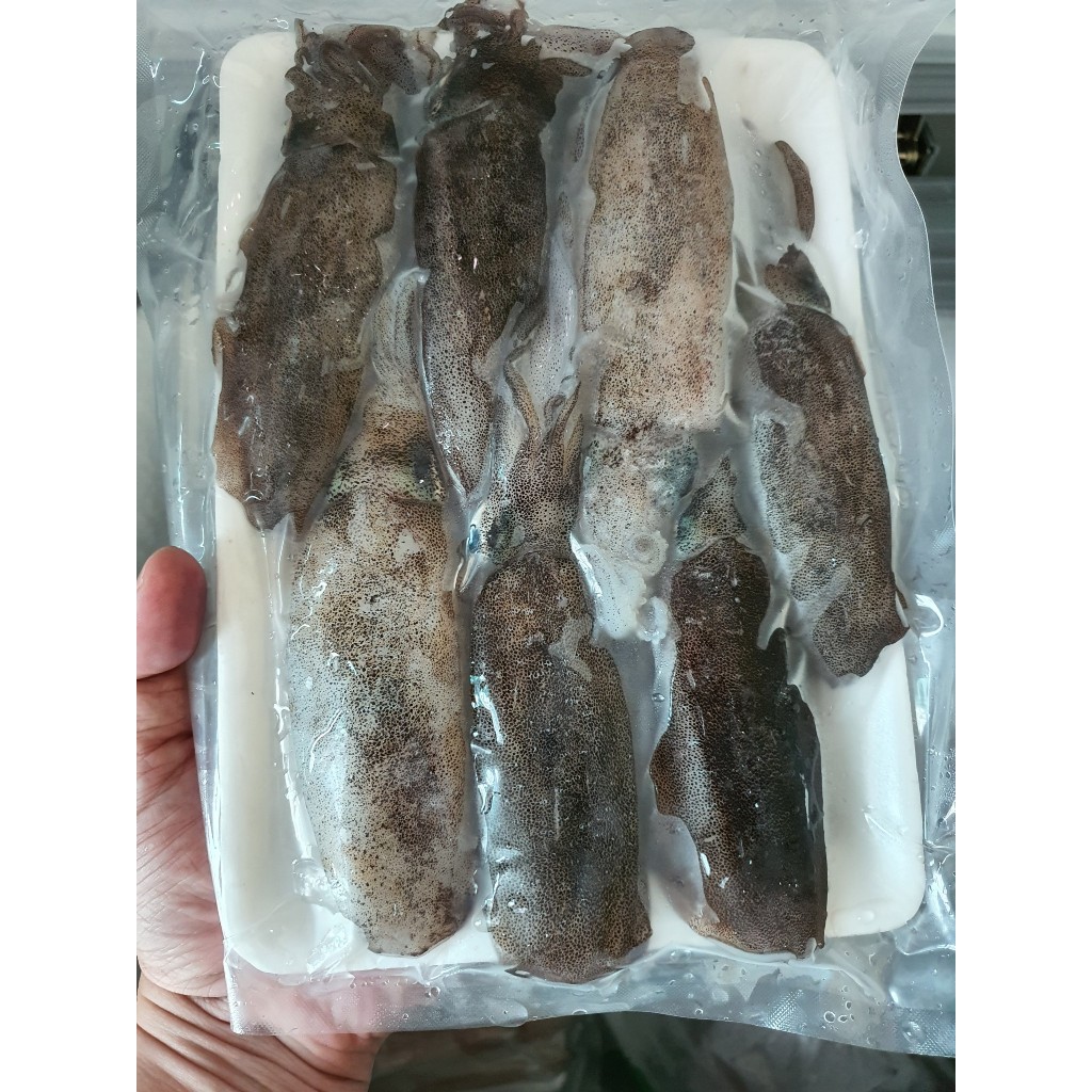 Mực lá câu tươi nháy biển Phú Yên 500gr 4 đến 5 con