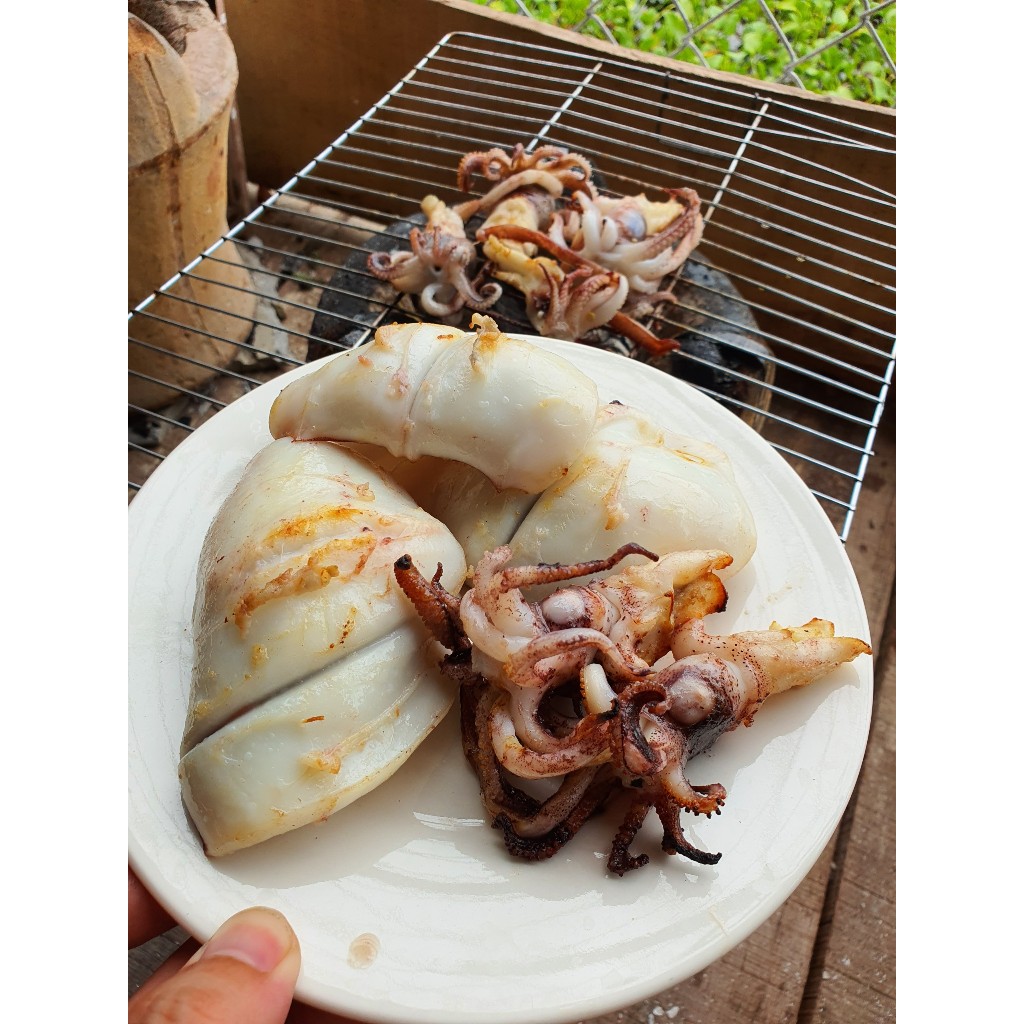 Mực lá câu tươi nháy biển Phú Yên 500gr 4 đến 5 con