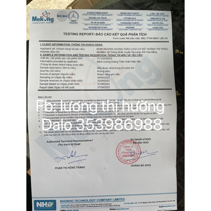 Bánh nướng hoàng thảo- hạ lang- cao bằng