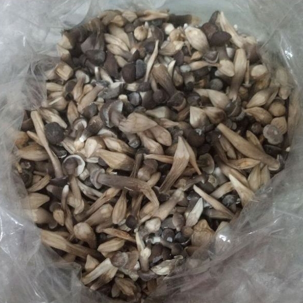 Nấm Mối Đen Sấy Thăng Hoa - Nấm Hữu Cơ 100g