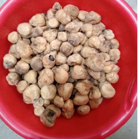 Nấm Rơm Sấy Thăng Hoa Búp Lớn 100g