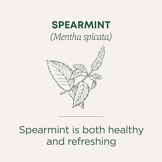 Trà hữu cơ Spearmint - Traditional Medicinals - 16gói