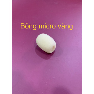 Bông lọc micro dùng trợ giảng( míc trợ giảng).