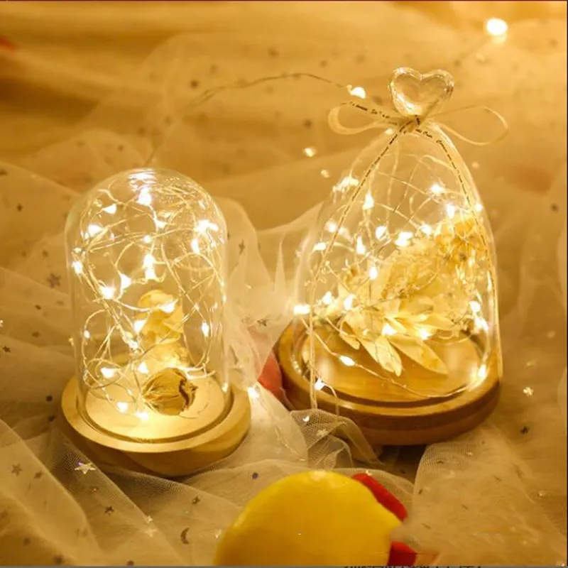 Dây Đèn LED Bằng Đồng 1M  2M Mini Chống Thấm Nước Trang Trí Tiệc Cưới Giáng Sinh Tiện Lợi Đẹp Mắt
