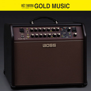 Loa Guitar Acoustic Boss ACS Pro
