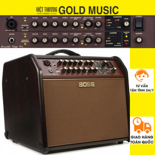 Loa guitar acoustic boss acs pro