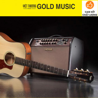Loa Guitar Acoustic Boss ACS Pro