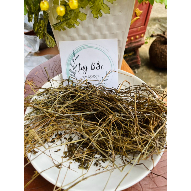 Bán Chi Liên khô 1kg hàng chuẩn loại 1 - Thảo Mộc Tây Bắc