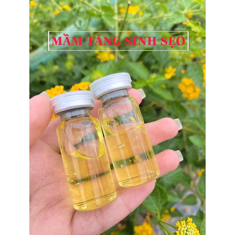 Mầm sẹo collagen đầy sẹo rỗ xoá thâm