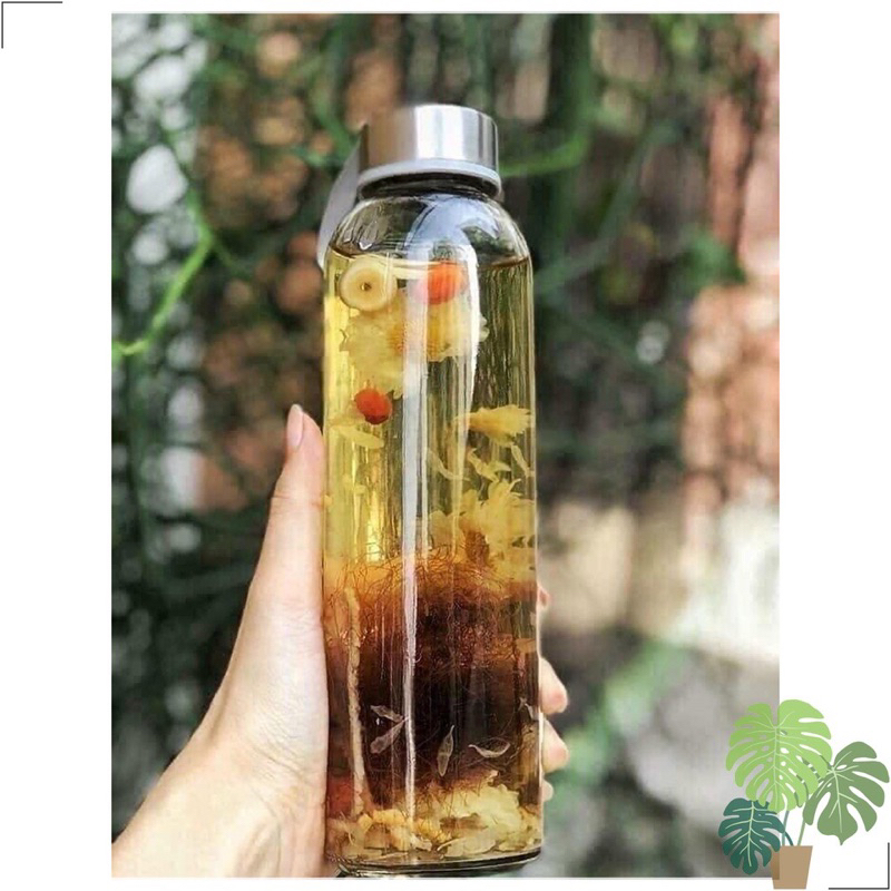 Bình nước thuỷ tinh 500ml có dây xách