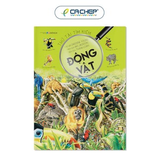 Sách - Combo 6 cuốn Thử tài tìm kiếm - Đông A