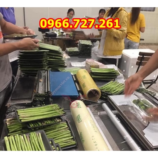 Máy bọc màng thực phẩm HW 450