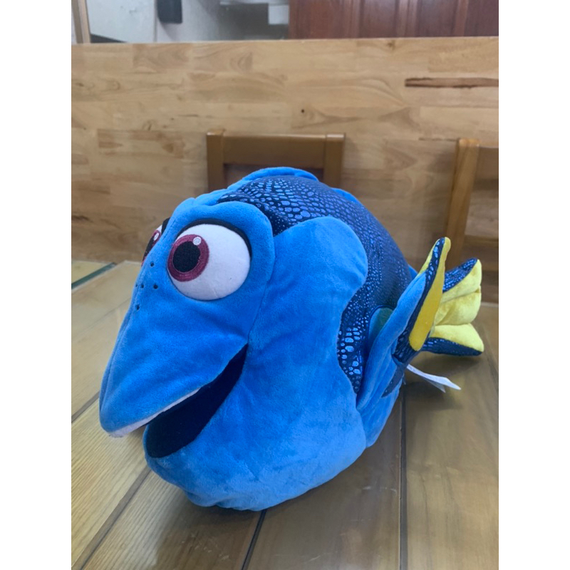 Cặp cá Nemo và bạn 🐠
