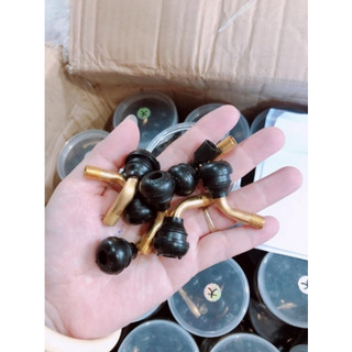 Van cong xe máy, xe điện loại tốt